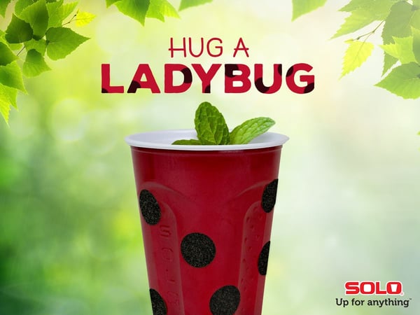 diy_ladybug_craft