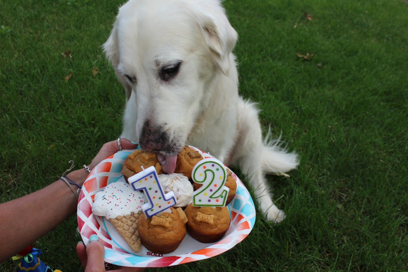 How to Throw a Puptastic Birthday Party