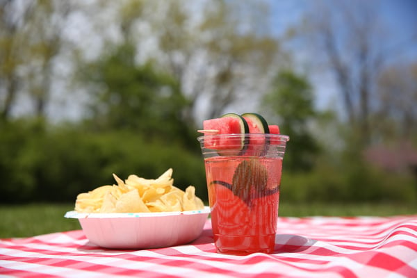 Watermelon Cocktail