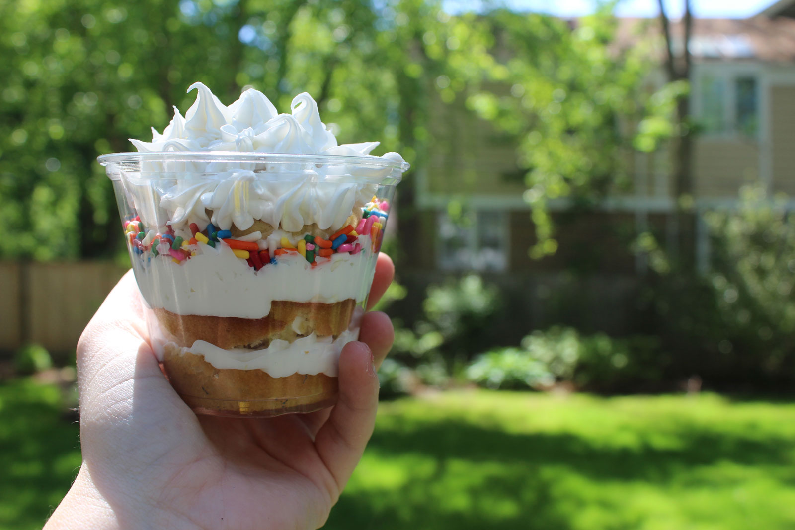 Layered Cupcake in a Cup